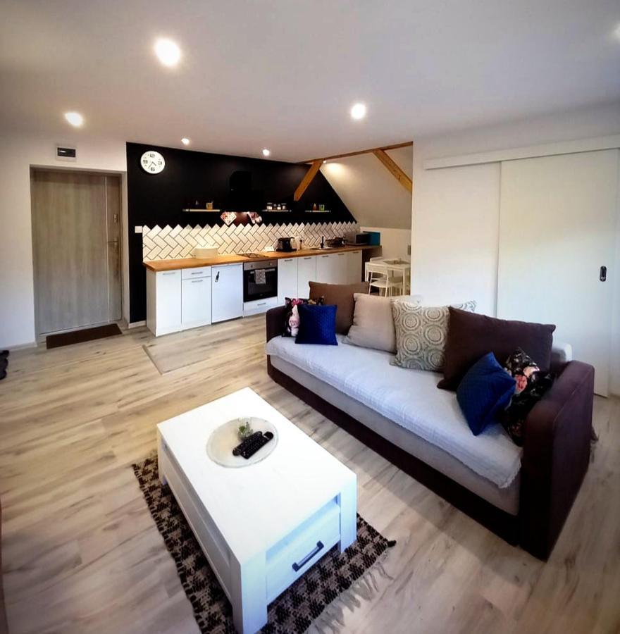 Apartament U Edka Przy Dolnej Świeradów-Zdrój Exterior foto