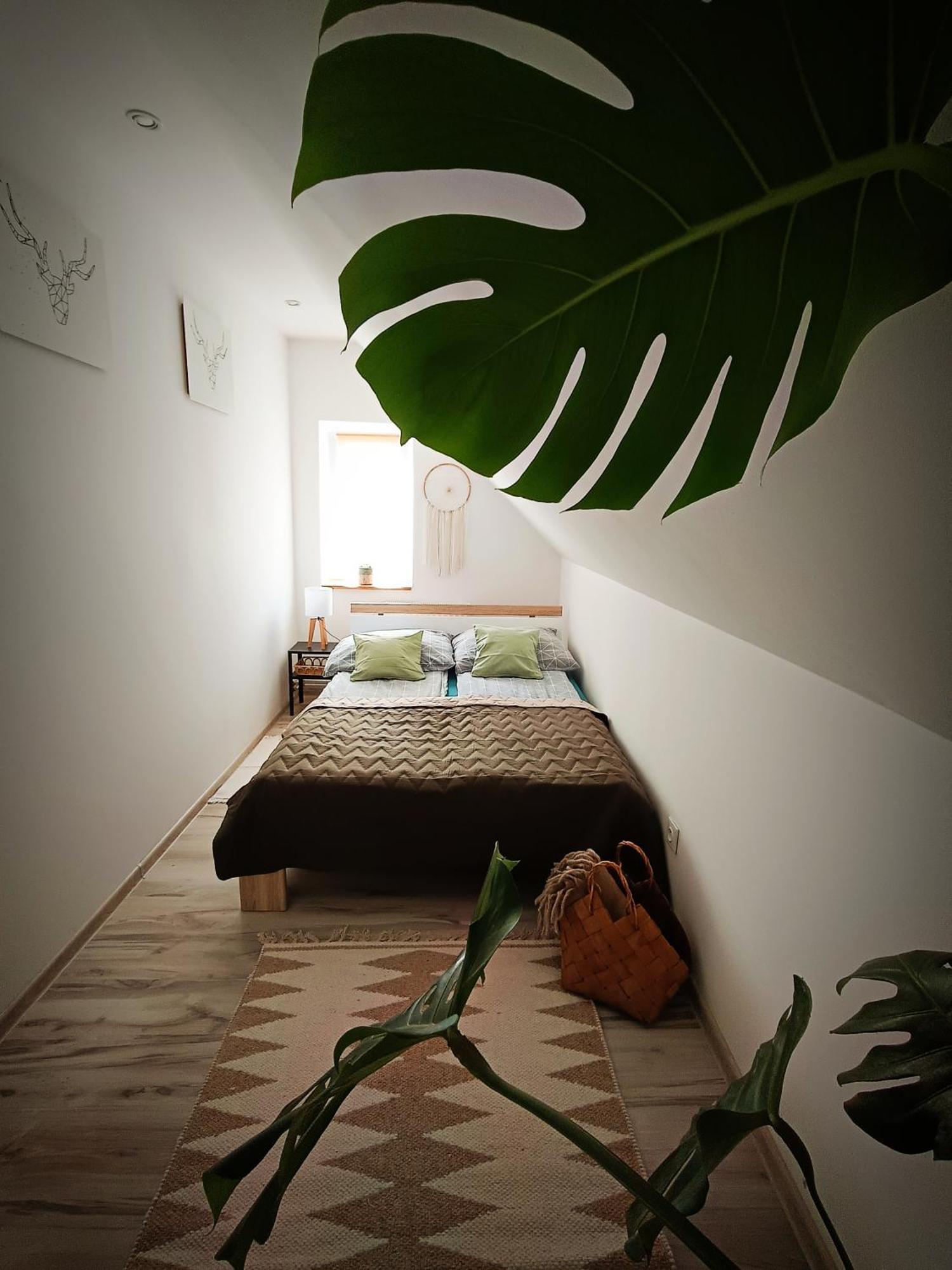 Apartament U Edka Przy Dolnej Świeradów-Zdrój Exterior foto